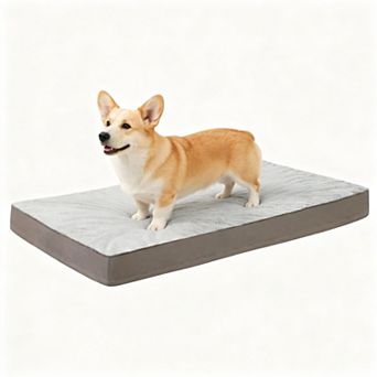 Gray Orthopedic Dog Bed Waterproof Washable Large Size