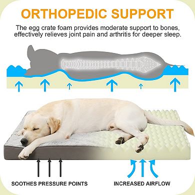 Gray Orthopedic Dog Bed Waterproof Washable Large Size