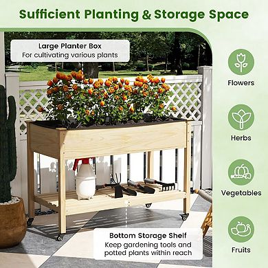 YIORTWO Wooden Raised Garden Bed with Wheels, Elevated Planter Box with Shelf for Vegetables