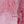 Hearts Magenta