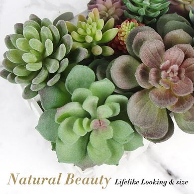 Artificial Succulent Plant Set, Faux Flocked Decor for Wall & Garden Arrangement