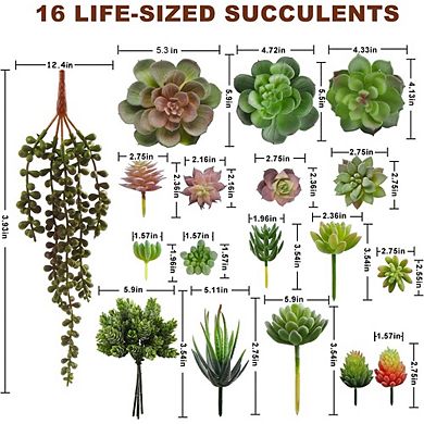 Artificial Succulent Plant Set, Faux Flocked Decor for Wall & Garden Arrangement