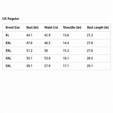 4 Pack Womens Plus Size Tank Tops Casual V Neck Sleeveless Shirts Flowy Tunics