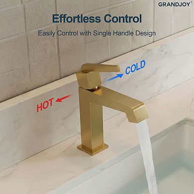 GRANDJOY Single Hole 1-Handle Mid-Arc Bathroom Sink Faucet Square Spout with Drain Assembly