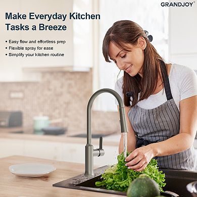 GRANDJOY Pull-Down Kitchen Faucet with 2-Function Sprayer Single-Handle Swivel Spout 1.8GPM