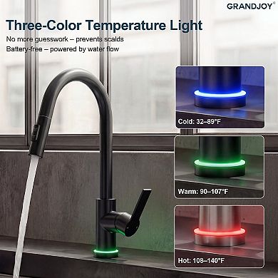 GRANDJOY 2-Function High-Arc Single Handle Pull-Down Kitchen Faucet with LED Temperature Indicator