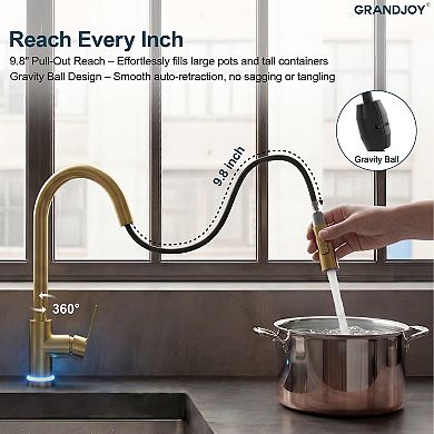GRANDJOY 2-Function High-Arc Single Handle Pull-Down Kitchen Faucet with LED Temperature Indicator