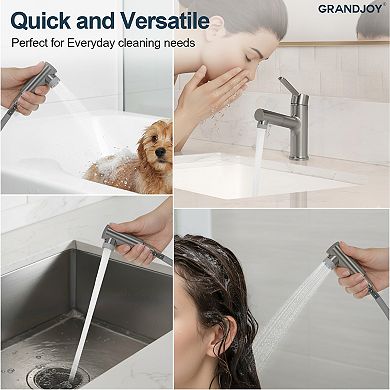 GRANDJOY Pull Out Bathroom Sink Faucet Single Hole with Pop Up Drain Single Handle