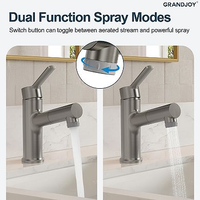 GRANDJOY Pull Out Bathroom Sink Faucet Single Hole with Pop Up Drain Single Handle