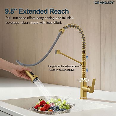 GRANDJOY LED Pull Down Kitchen Faucet Single Handle Commercial Spring Gooseneck 1.8GPM