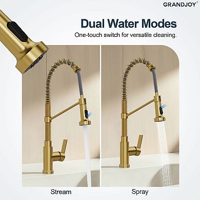 GRANDJOY LED Pull Down Kitchen Faucet Single Handle Commercial Spring Gooseneck 1.8GPM