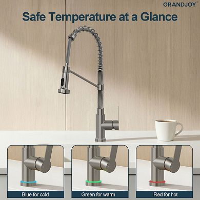 GRANDJOY LED Pull Down Kitchen Faucet Single Handle Commercial Spring Gooseneck 1.8GPM