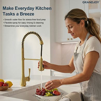 GRANDJOY Deck-Mount Single Handle Pull-Down Commercial Kitchen Faucet with Dual Spray Modes