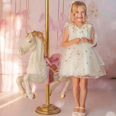 Stardust Embroidered White Tulle Flower Girl Dress