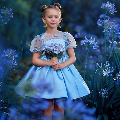 Celestial Butterfly Blue Sequin Tulle Birthday Dress for Girls