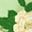 Green Flower