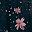 Pink Flower