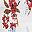 Red White Floral