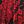 Red Leaf