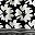 Black Floral