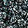 Black Blue Floral