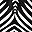 Black White Print