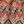 Boho Print