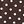 Brown Polka Dots
