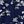 Navy Floral Print