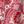 Red Paisley Print