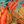 Floral Blue Orange