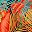 Floral Blue Orange