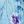 Blue Purple Flower