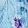 Blue Purple Flower