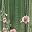 Green Pink Floral