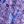 Purple Blue Boho