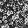 Floral Black White