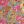 Print Floral Colour