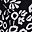 Black Small Floral