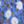 Garden Blue Floral
