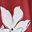 Red White Flower