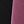 Black Rose Red