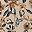Light Khaki Floral