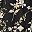 Black Floral