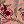 Print Rose Pink