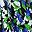 Blue Floral Print