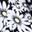 Black Flower