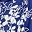 Blue Floral