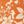 Orange Floral
