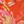 Orange Pink